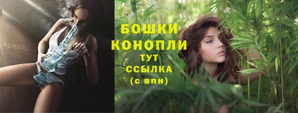 твердый Сосновоборск