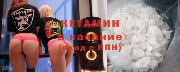 индика Сосновка