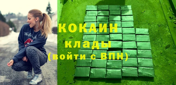 индика Сосновка