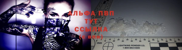 твердый Сосновоборск