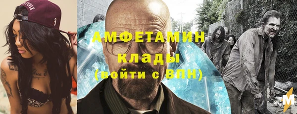 индика Сосновка